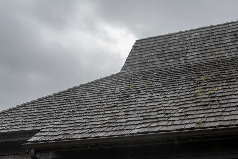 Cedar Roof Repair
